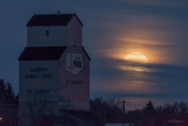 Moon rising in St. Albert, Alberta. Image: Jeff Wallace